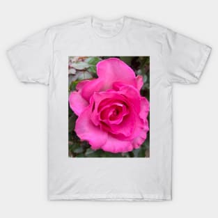 Pink rose T-Shirt